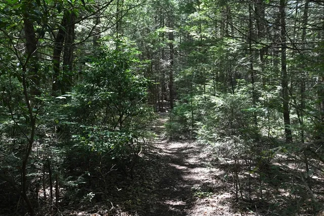 $84,900 | 0 Amherst Road, Amherst, MA 01002