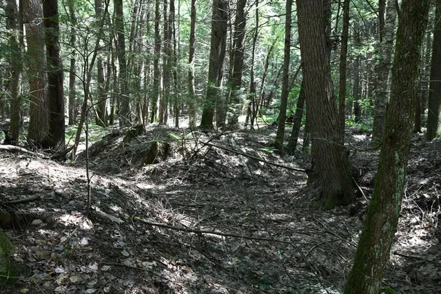 $84,900 | 0 Amherst Road, Amherst, MA 01002