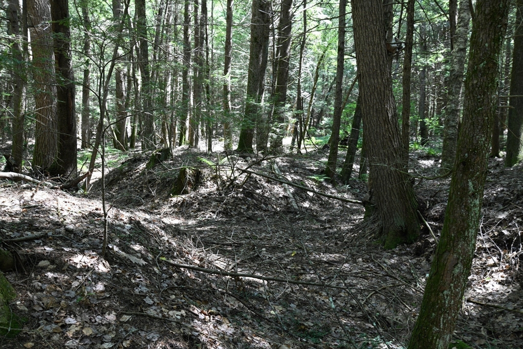 0 Amherst Road Amherst, MA 01002 - Photo 23 of 31