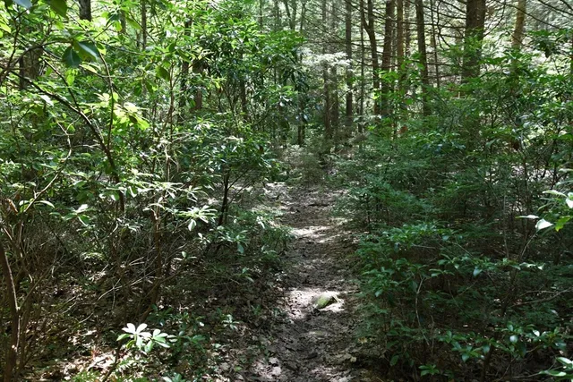 $84,900 | 0 Amherst Road, Amherst, MA 01002