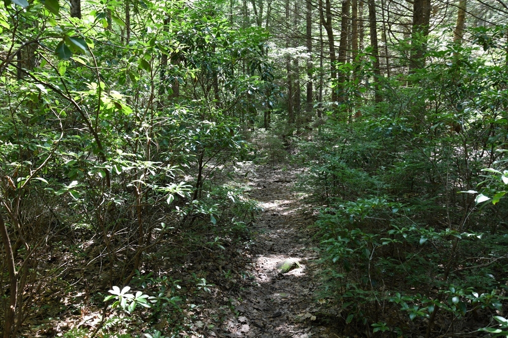 0 Amherst Road Amherst, MA 01002 - Photo 24 of 31