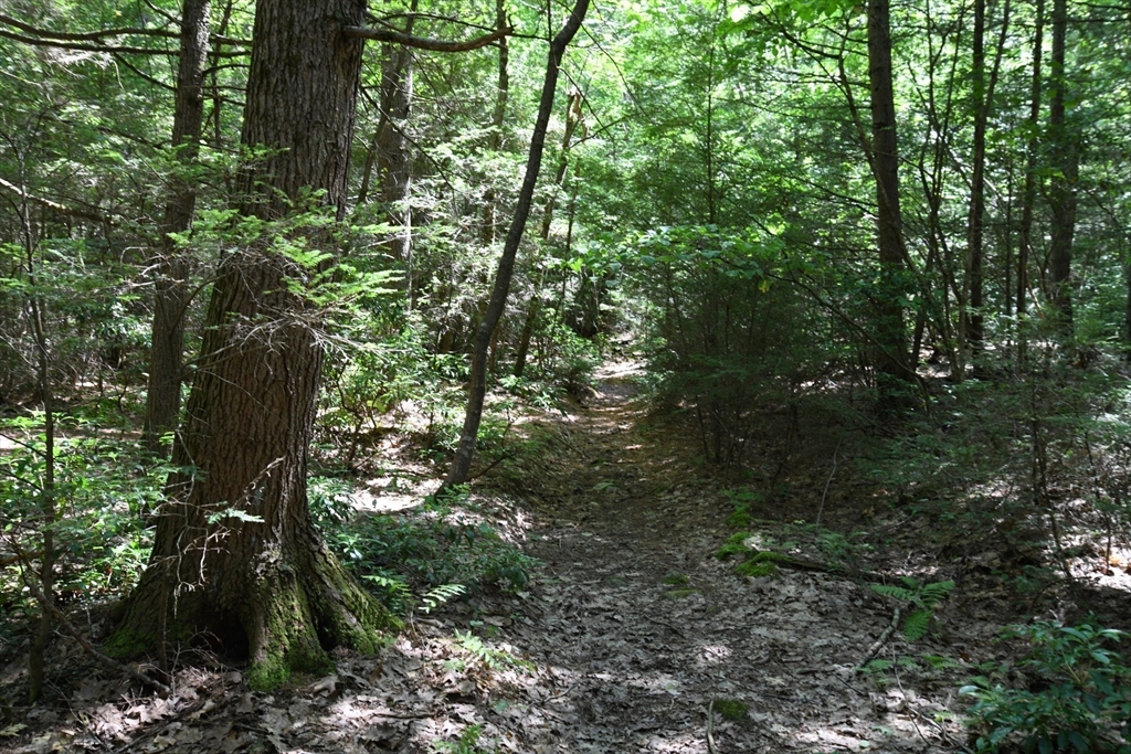 0 Amherst Road Amherst, MA 01002 - Photo 26 of 31