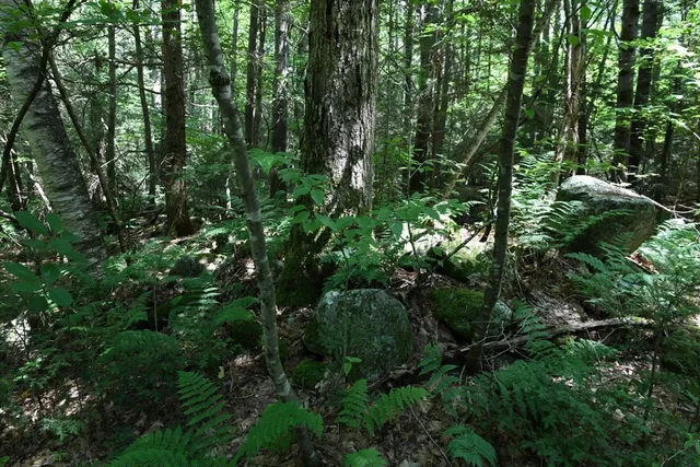 $84,900 | 0 Amherst Road, Amherst, MA 01002