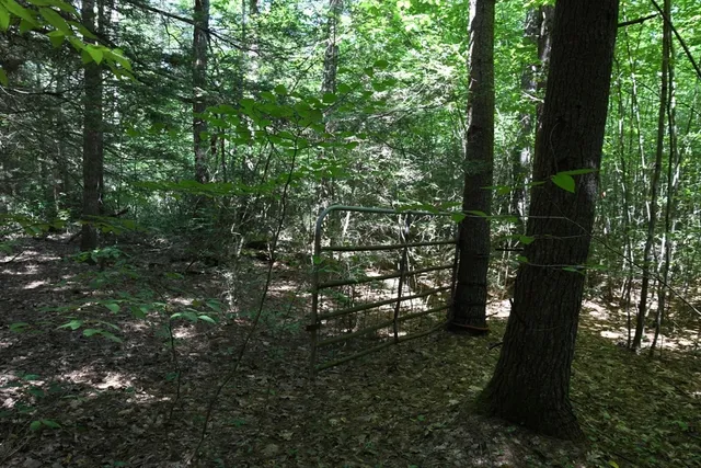 $84,900 | 0 Amherst Road, Amherst, MA 01002