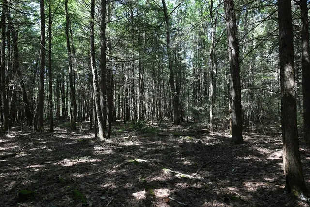 $84,900 | 0 Amherst Road, Amherst, MA 01002