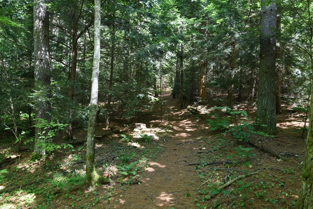 0 Amherst Road Amherst, MA 01002 - Photo 30 of 31