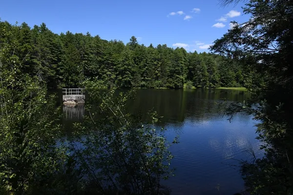 a view of a lake in between two of trees