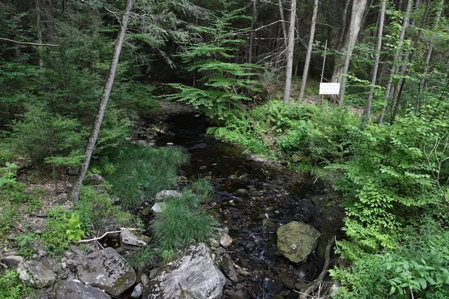 $60,000 | 0 Amherst Road, Amherst, MA 01002