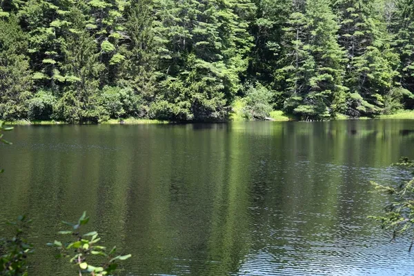 a view of a lake view