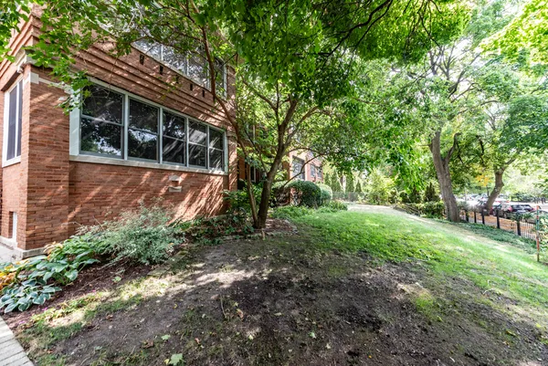 a view of a backyard with large trees