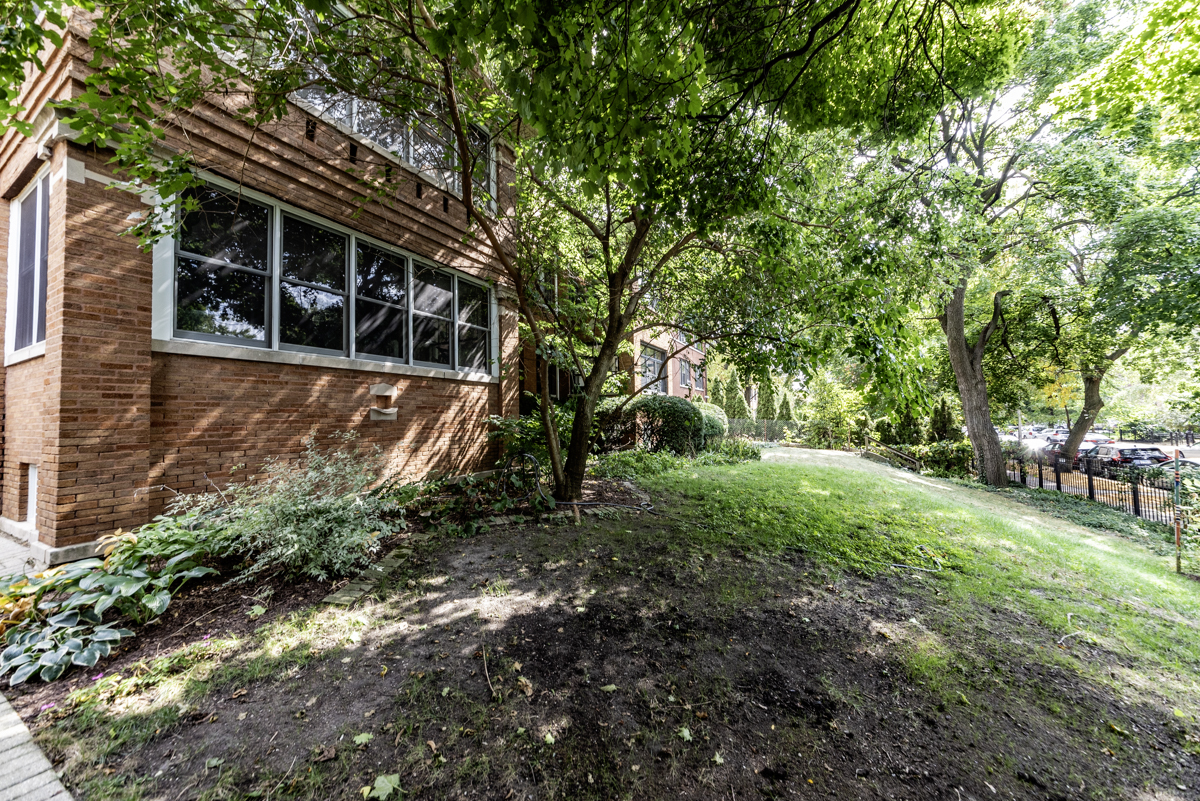 a view of a backyard with large trees