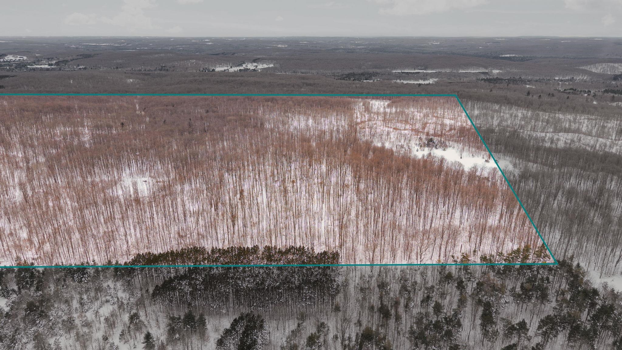 0 Stark Road, Unit LOT: 17 Mancelona, MI 49659 - Photo 5 of 22
