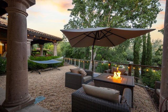 a view of a tree in a plant