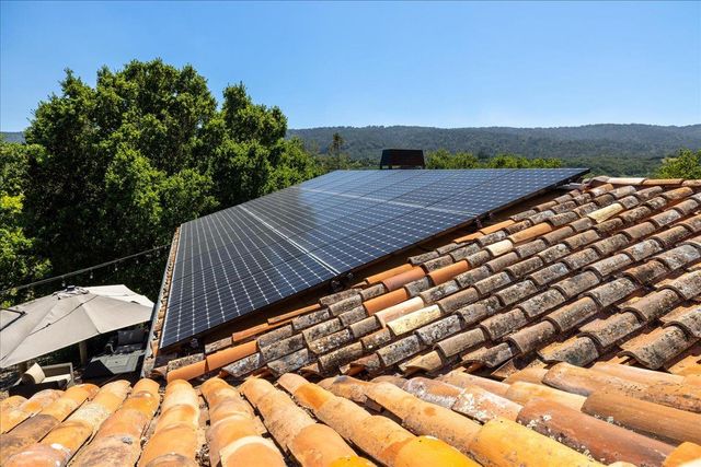 a close up of a flower in a garden