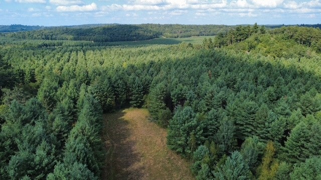 N12669 Monthei Road Alma Center, WI 54611 - Photo 10 of 21 Gallery Image 10