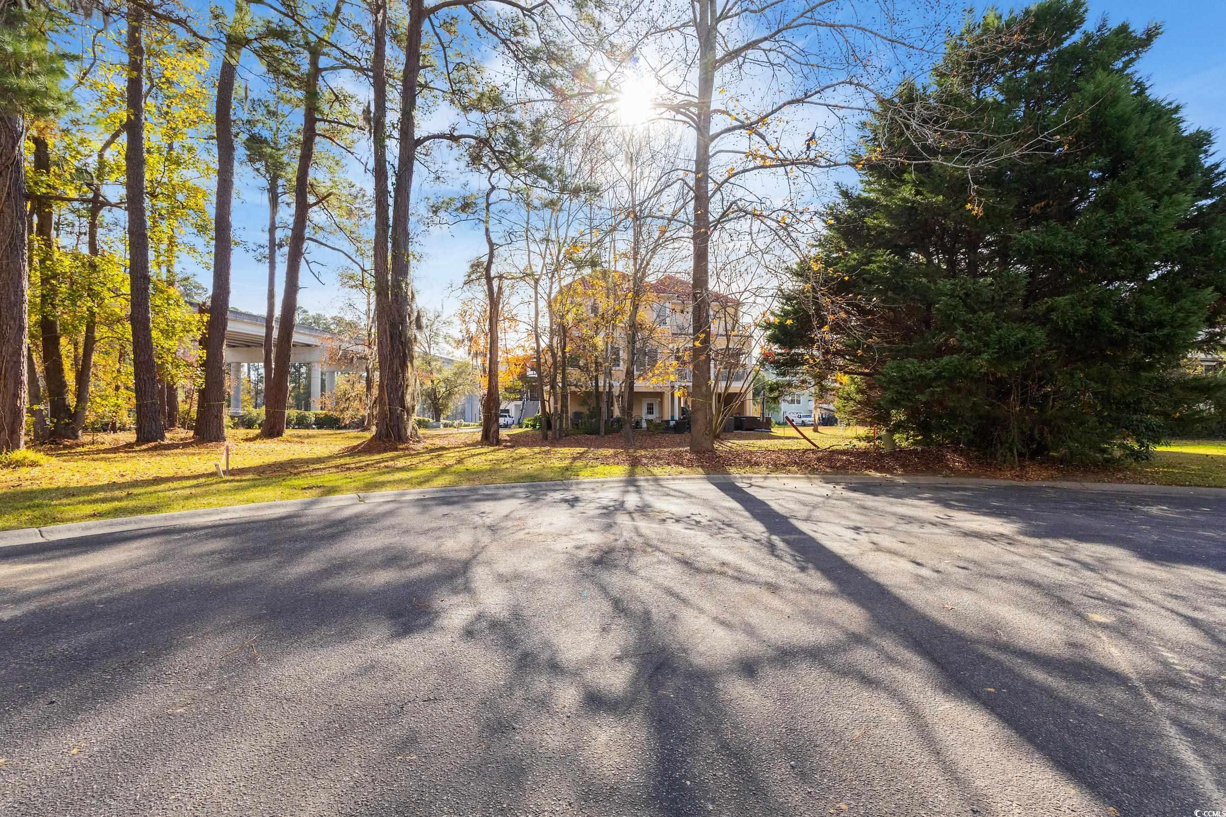 324 Crossing Court Myrtle Beach, SC 29588 - Photo 3 of 23