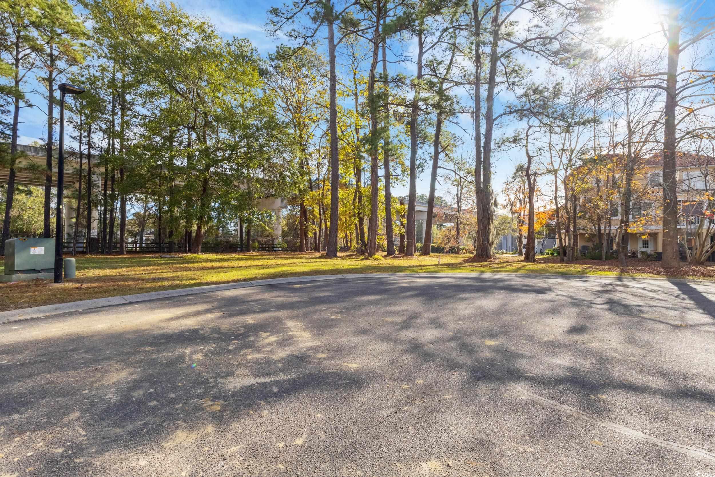 324 Crossing Court Myrtle Beach, SC 29588 - Photo 4 of 23