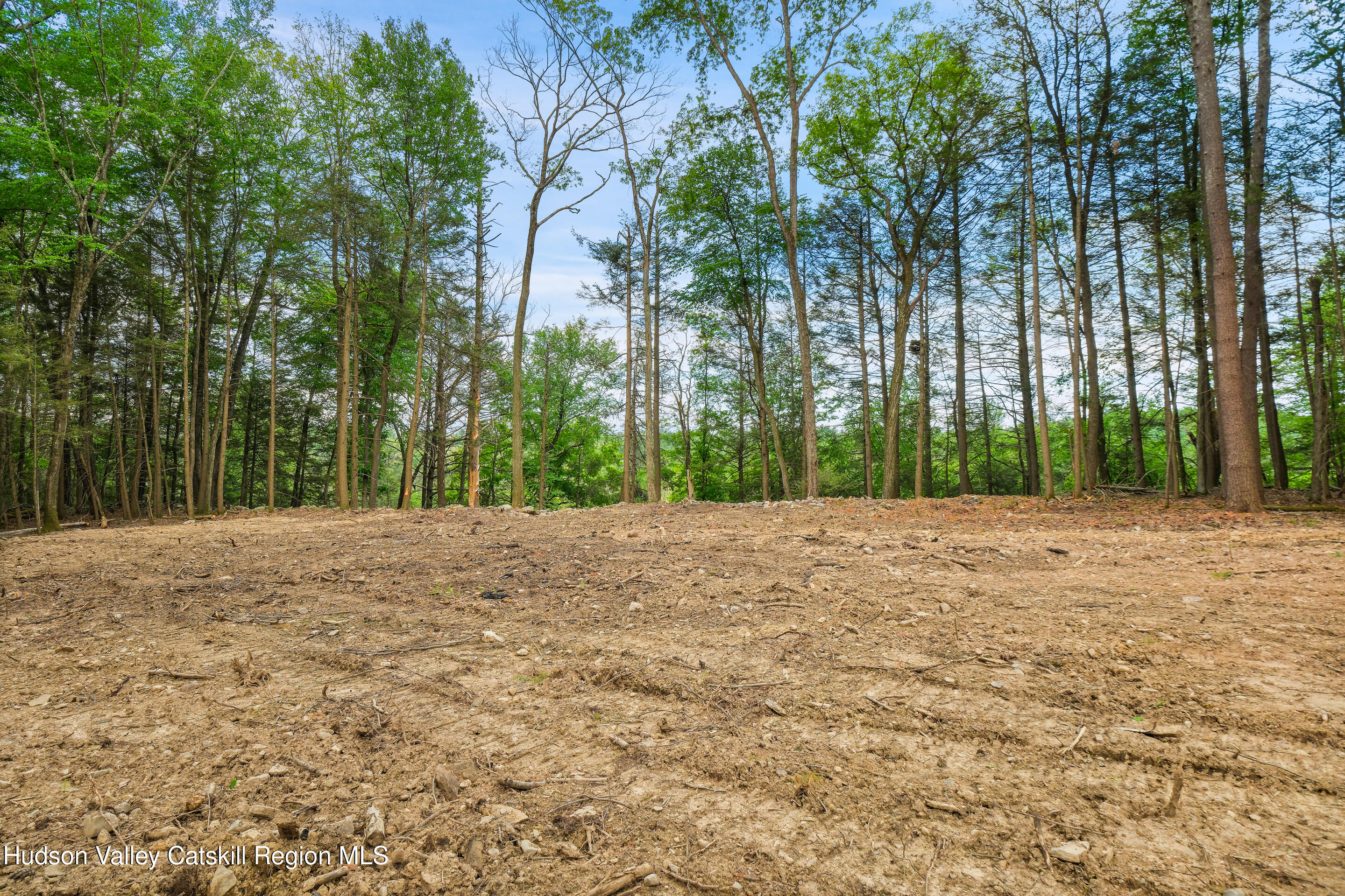 209 Beaverkill Road Kingston, NY 12401 - Photo 36 of 44 DSCF0224_1