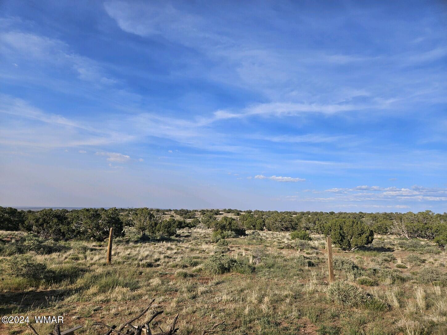 110 County Road Concho, AZ 85924 - Photo 7 of 21 a view of ocean
