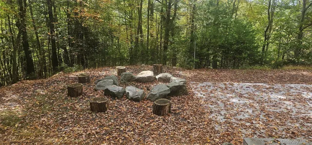 a view of a forest with trees