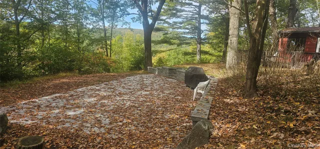 a view of a yard with plants and trees