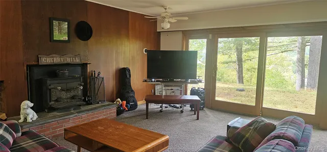 a living room with furniture a flat screen tv and a fireplace