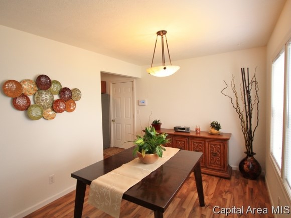 41 Nottingham Road Springfield, IL 62704 - Photo 4 of 11