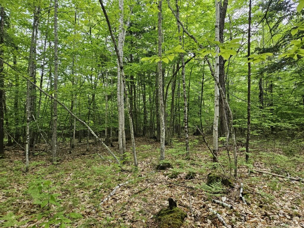 M10-l44 Mountain View Road Fryeburg, ME 04037 - Photo 30 of 36