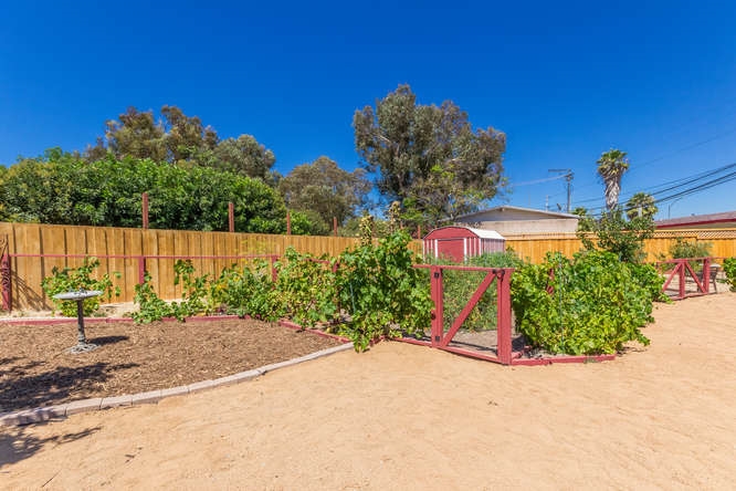 2505 Littleton Road El Cajon, CA 92020 - Photo 22 of 24 Garden area in rear yard. Large lot, but set up to be water-wise.