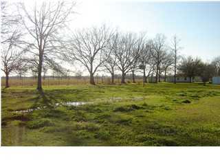 424 Brady Road Port Barre, LA 70577 - Photo 1 of 2 Gallery Image 1