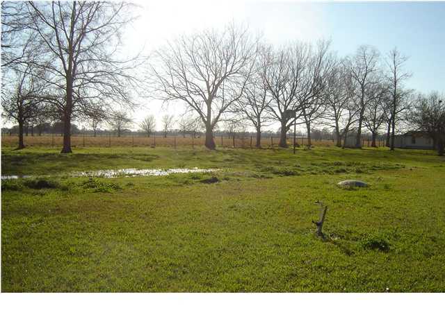 424 Brady Road Port Barre, LA 70577 - Photo 2 of 2 Gallery Image 2