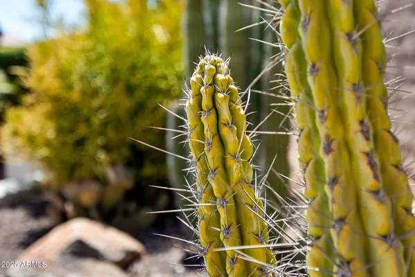 $4,600 | 1732 East Vesper Trail, Queen Creek, AZ 85140