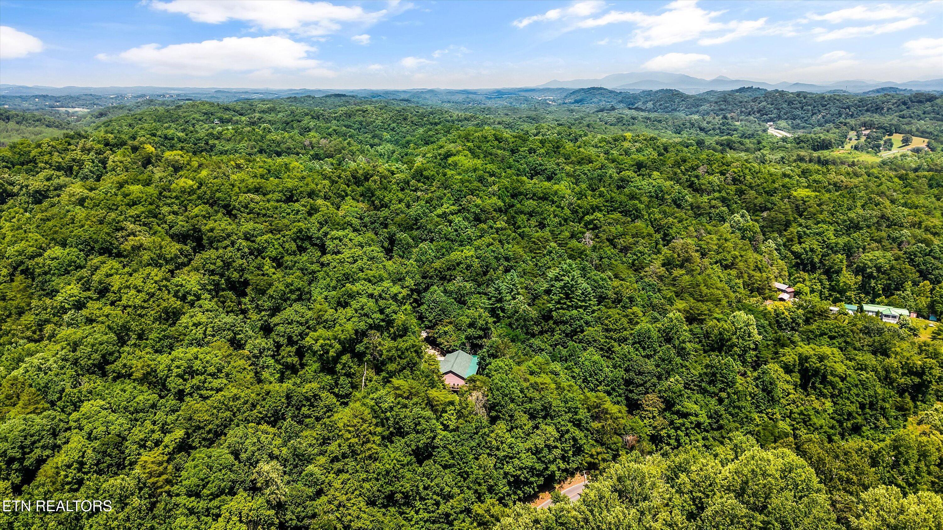 288 Panther Creek Road Sevierville, TN 37876 - Photo 44 of 45 61-288 Panther Creek Rd 08
