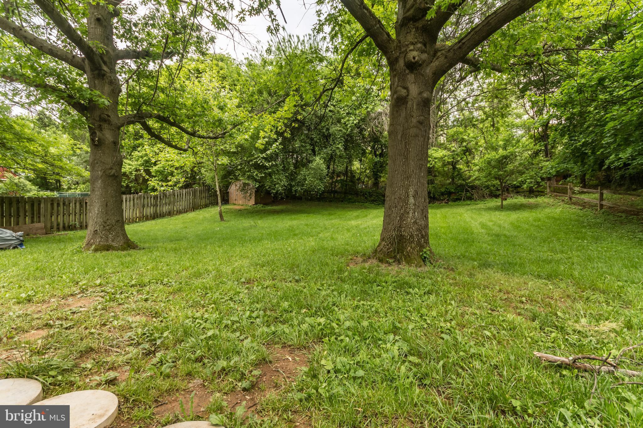 337 George Street Winchester, VA 22601 - Photo 24 of 27 Exterior (Rear)