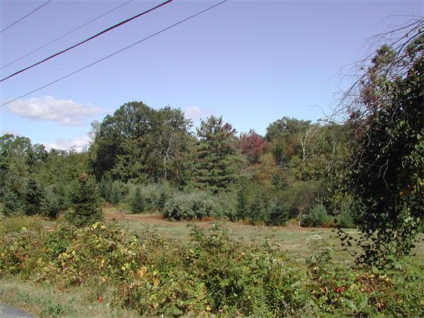 Lot 3 Chapin Road Holden, MA 01520 - Photo 5 of 6 Gallery Image 5