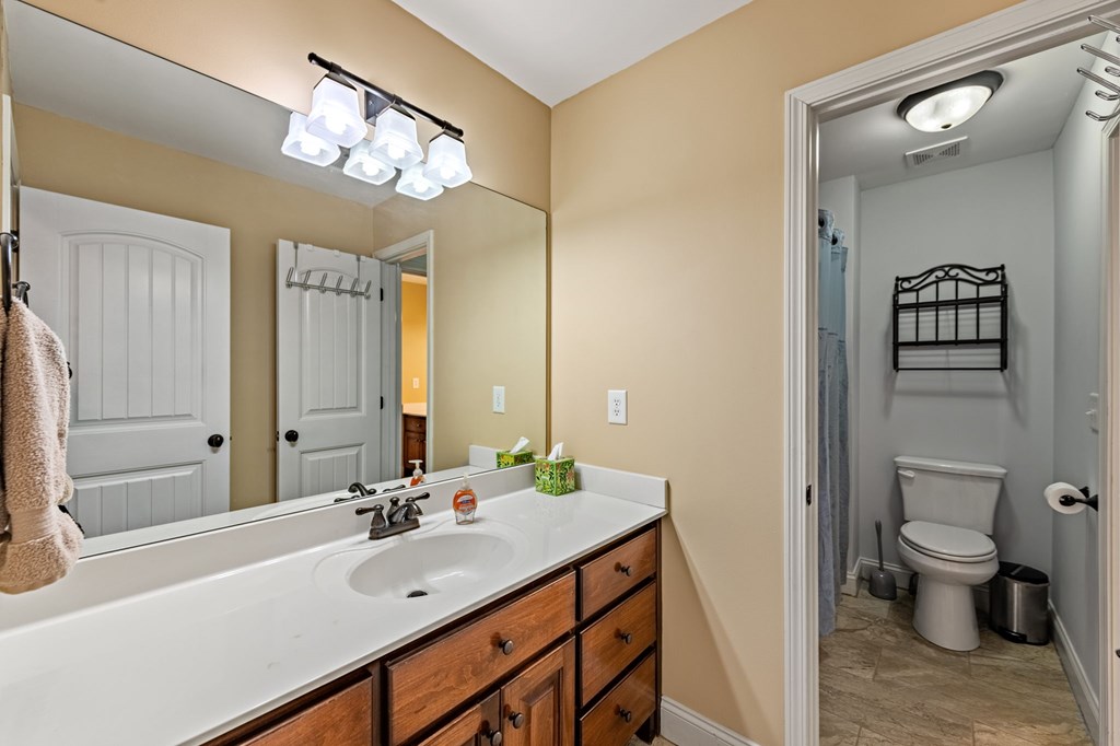 381 Madison Court Jasper, GA 30143 - Photo 44 of 96