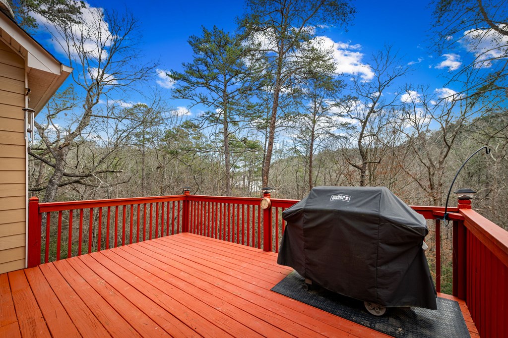 381 Madison Court Jasper, GA 30143 - Photo 91 of 96