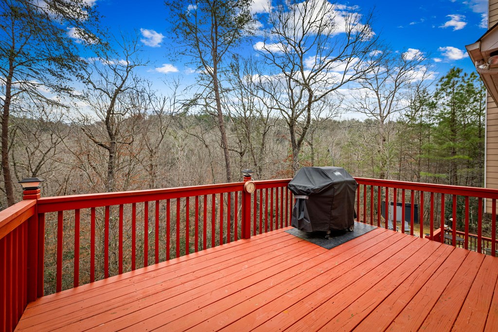 381 Madison Court Jasper, GA 30143 - Photo 92 of 96