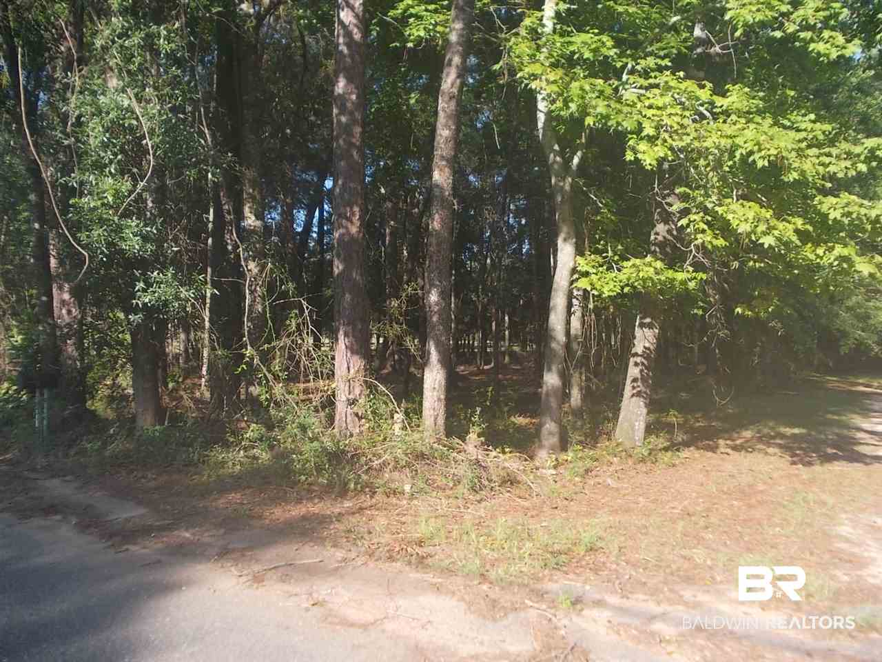 0 Ernest Patterson Road Robertsdale, AL 36567 - Photo 2 of 14