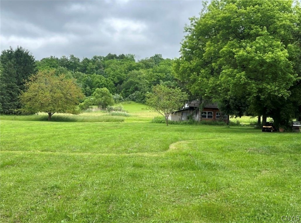 4067 Taylor Road Jamesville, NY 13078 - Photo 6 of 18 Gallery Image 6