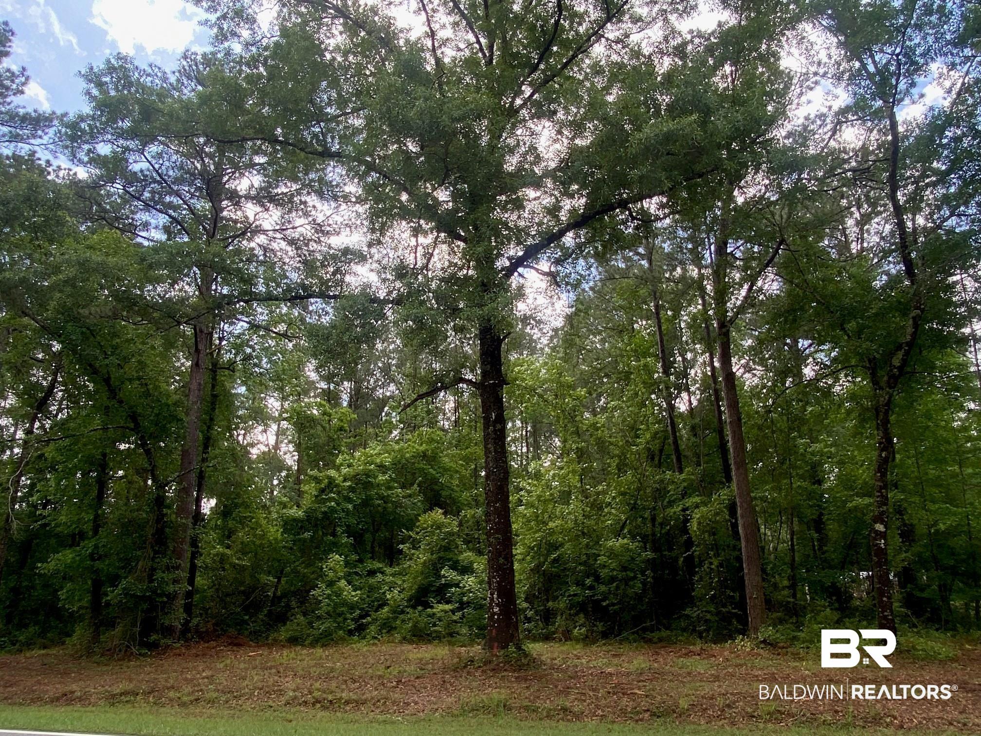 0 Pine Grove Rd Extension Bay Minette, AL 36507 - Photo 1 of 1 Front of lot