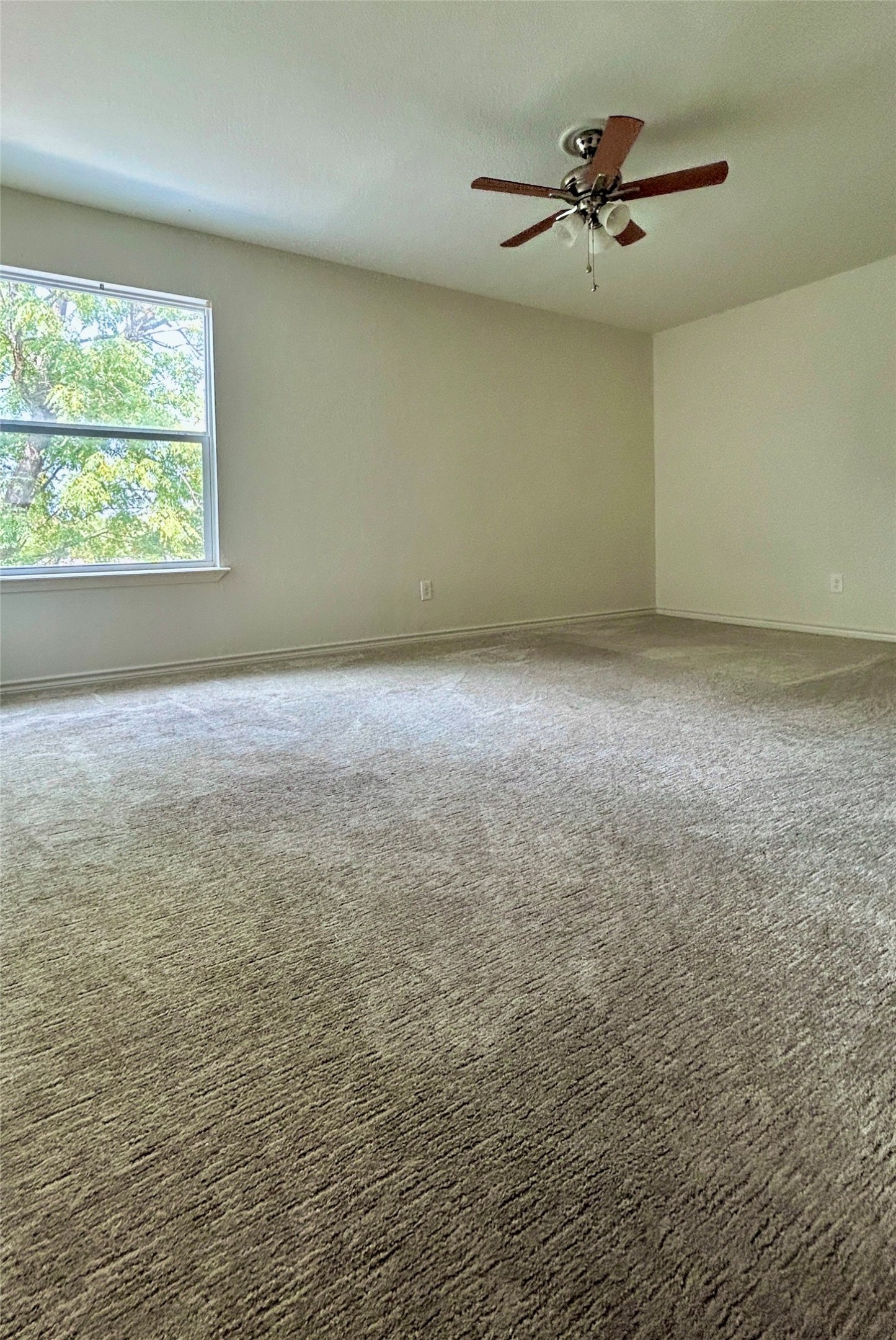 705 Castle Ridge Road, Unit C Austin, TX 78746 - Photo 13 of 15 Plush carpeting and a large window frame this comfortable, versatile bedroom space.