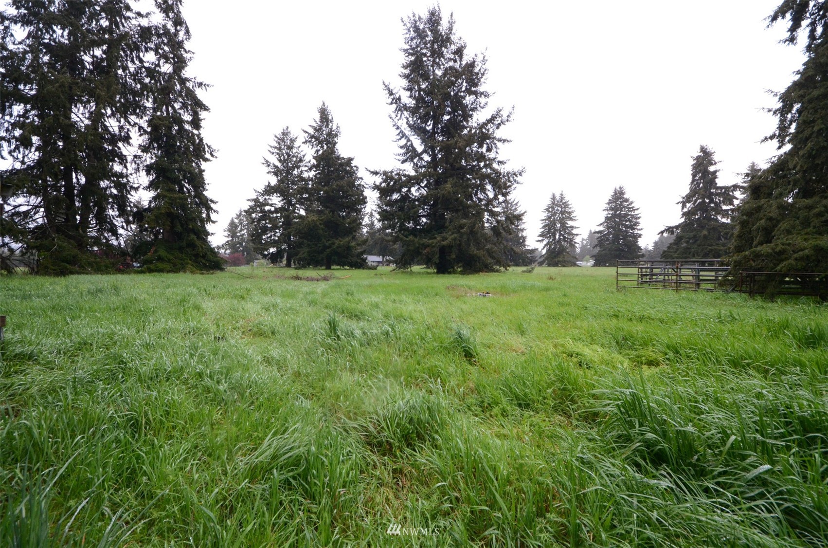 18524 Guava Street Southwest Rochester, WA 98579 - Photo 24 of 28 a view of a green field with trees in the background