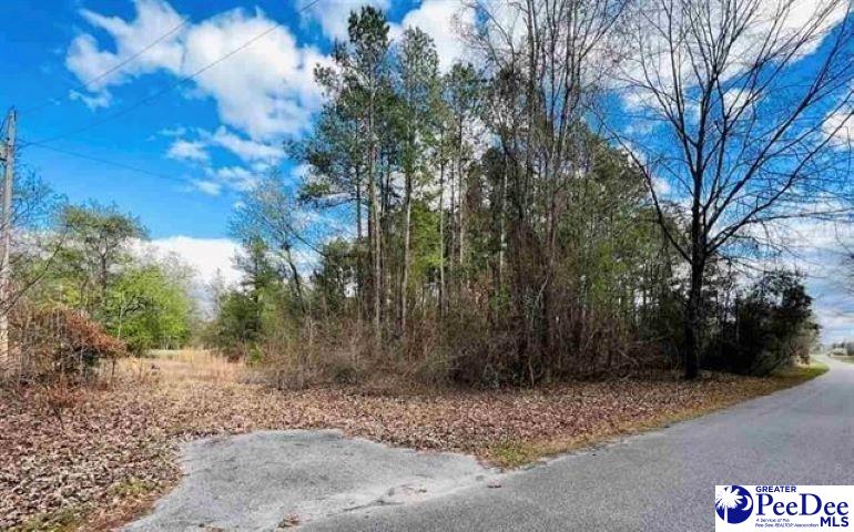 Lot 37 Berry Road Latta, SC 29565 - Photo 1 of 7 Gallery Image 1