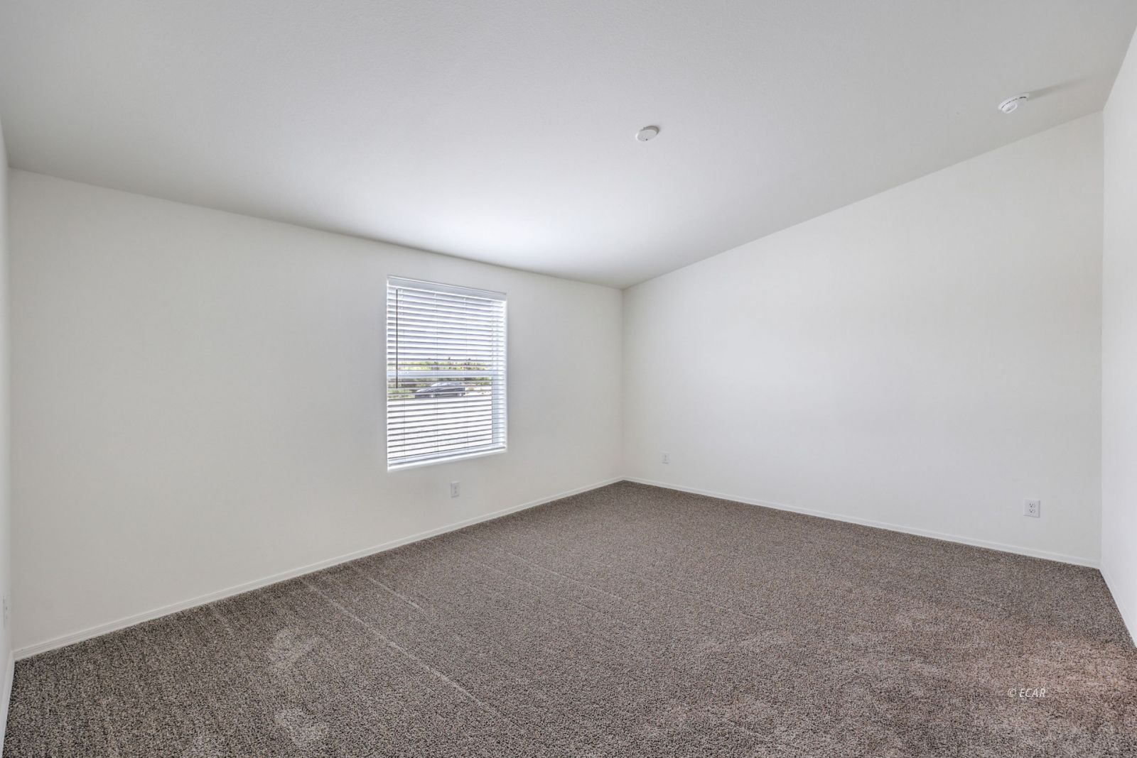 381 East Pechstein Road Pahrump, NV 89060 - Photo 19 of 46