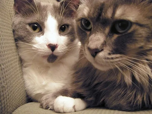 $1,899 | 83 Hanover Street, Unit 407, Manchester, NH 03101