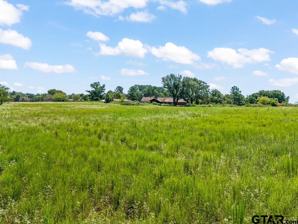 6404 Black Gum Road Gilmer, TX 75644 - Photo 40 of 45 a view of an ocean beach