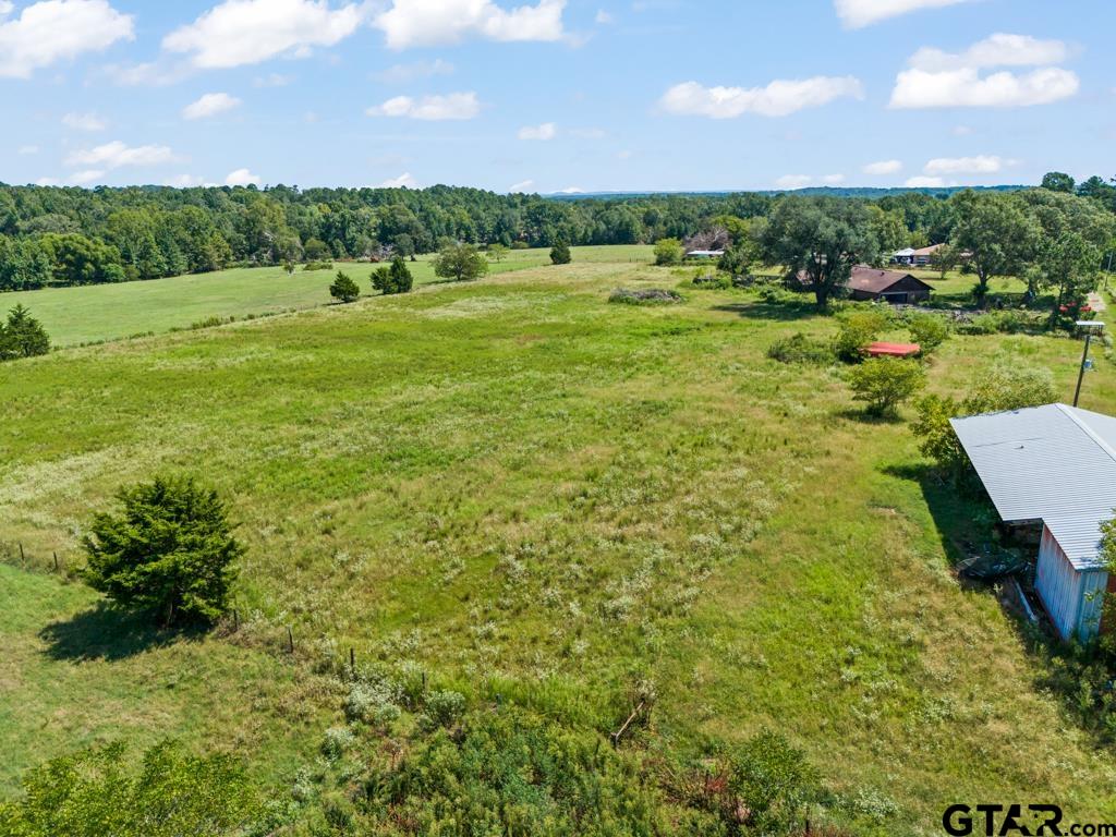 6404 Black Gum Road Gilmer, TX 75644 - Photo 41 of 45 a view of a lush green space