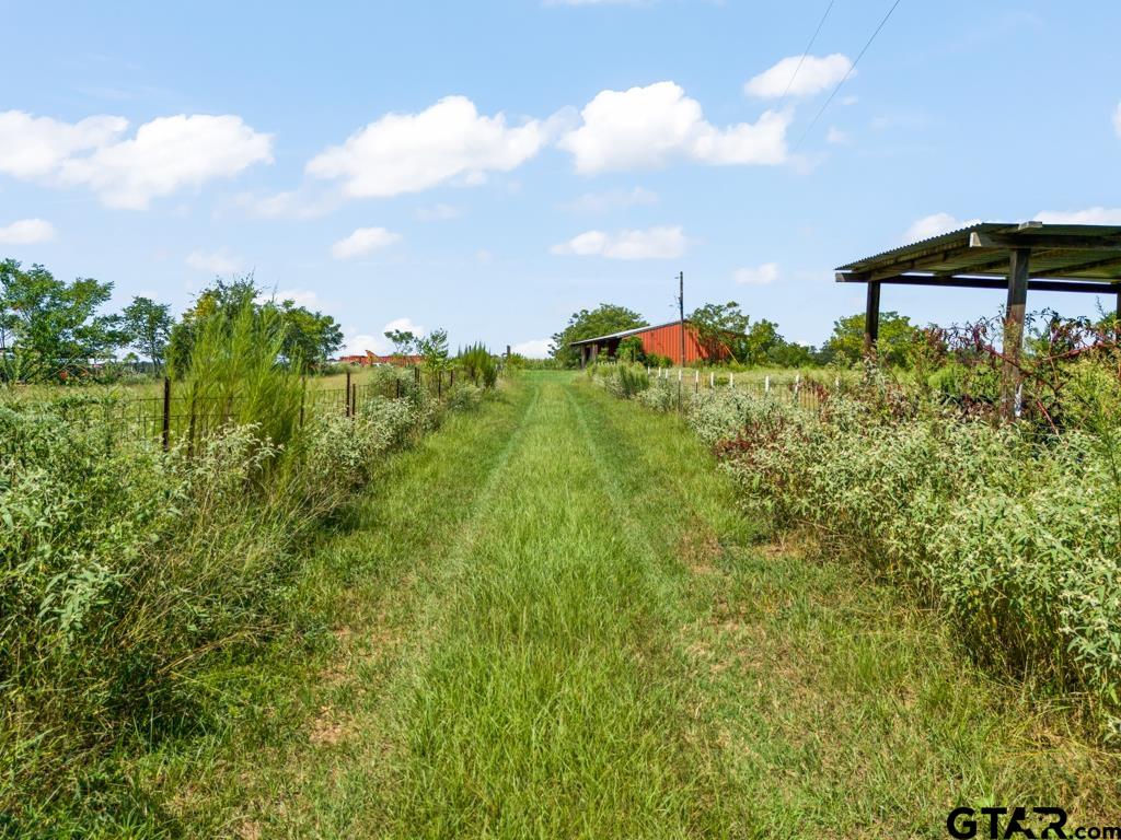 6404 Black Gum Road Gilmer, TX 75644 - Photo 42 of 45 a view of a garden from a building