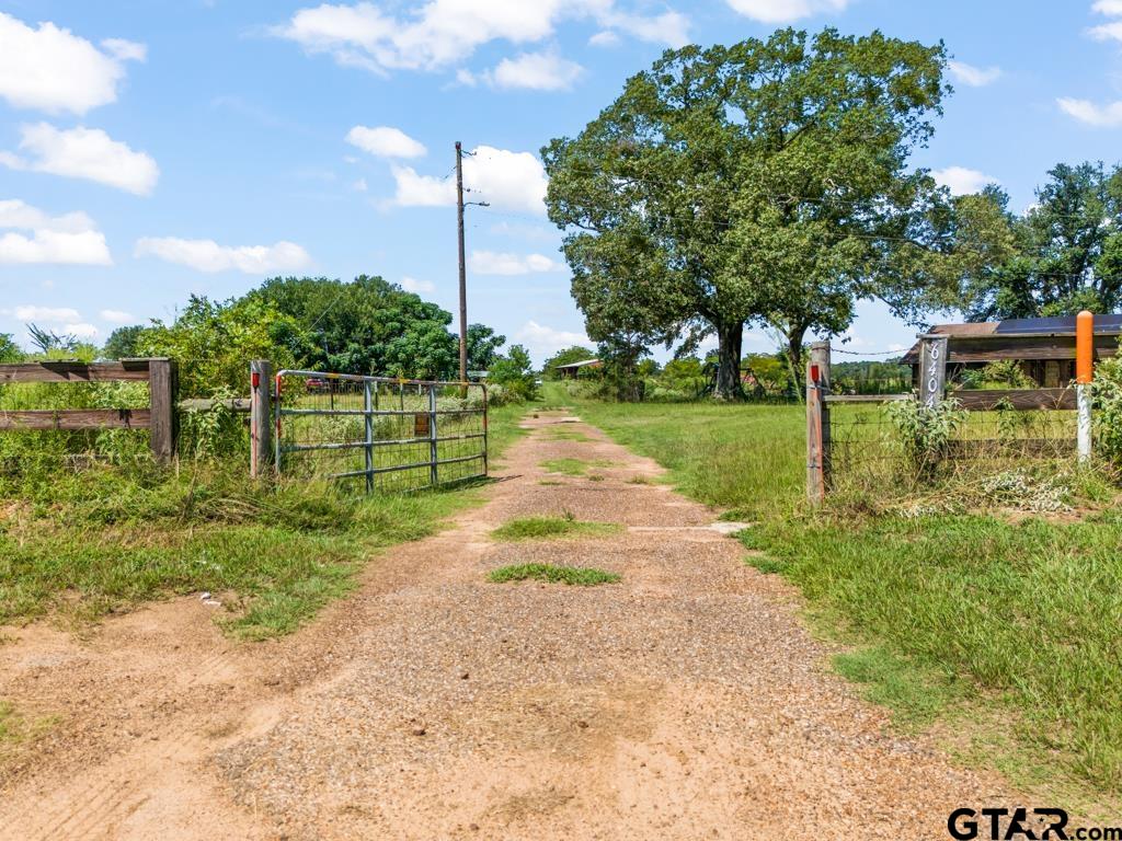 6404 Black Gum Road Gilmer, TX 75644 - Photo 43 of 45 a view of a park with large trees
